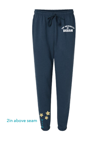 Univeristy of Akron Star Jogger