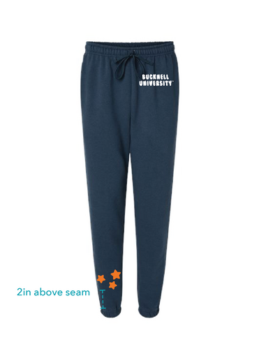 Bucknell University Star Jogger