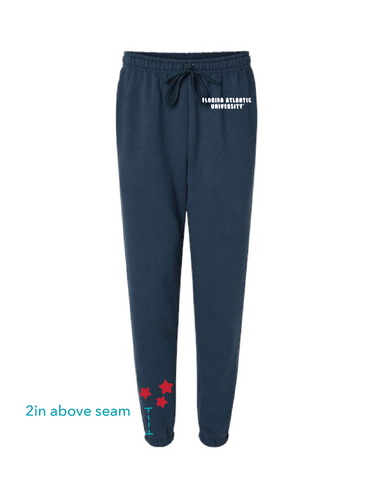 Florida Atlantic University Star Jogger