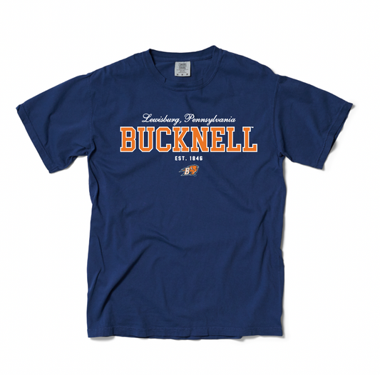 Bucknell Vintage Tee